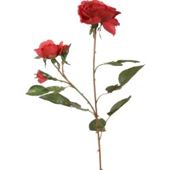 Nun Rose in Cherry Red  (Sold in Multiples of 12)