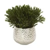 Oasis Green Platys Foliage in Silver Super Nova Planter