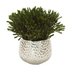 Oasis Green Platys Foliage in Silver Super Nova Planter