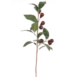 Olive Branch in Burgundy Red