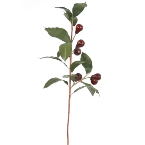 Olive Branch in Burgundy Red