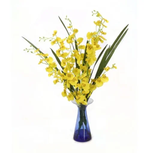 Oncidiium Orchid with Foliage in Blue Vase