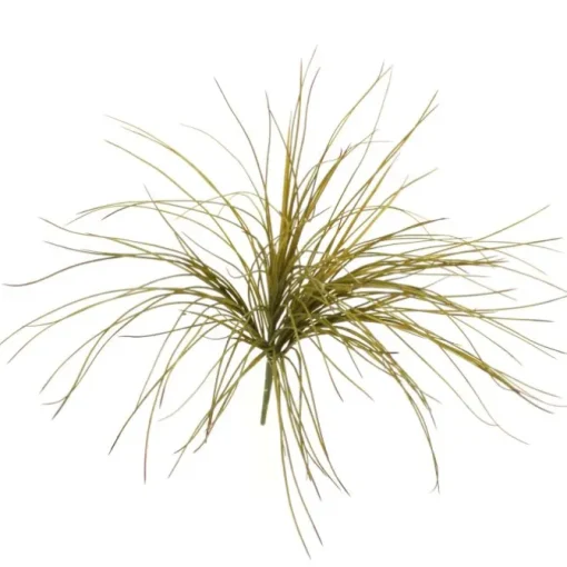 Onion Grass Bush in Olive Green   (Set of 12)