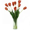 Orange Tulips in Glass Ribbed Vase