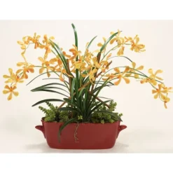 Orange Yellow Vanda Orchids with Orchid Folaige in Red Oval Planter