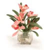 Orchids with Foliage in Glass