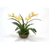 Pale Yellow Cymbidium Orchid Plants with Ferns in Metal Bronze Bowl