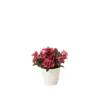 Pansies in White Container