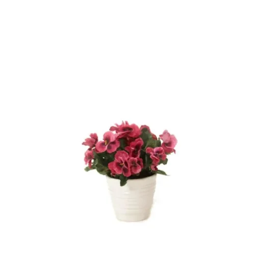 Pansies in White Container