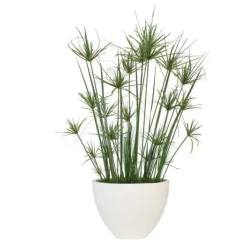 8' Papyrus with Grass and Reeds in Oval Concrete Planter