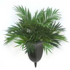 Parlor Palm in Wall Sconce
