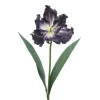 Parrot Tulip in Navy Blue (Sold in Multiples of 12)