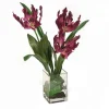Parrot Tulips in Glass Vase