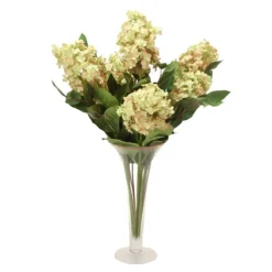 Peegee Hydrangeas in Trumpet Vase
