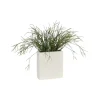Pencil Cactus in White Metal Tall Planter