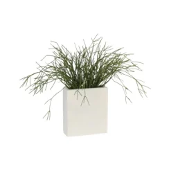 Pencil Cactus in White Metal Tall Planter