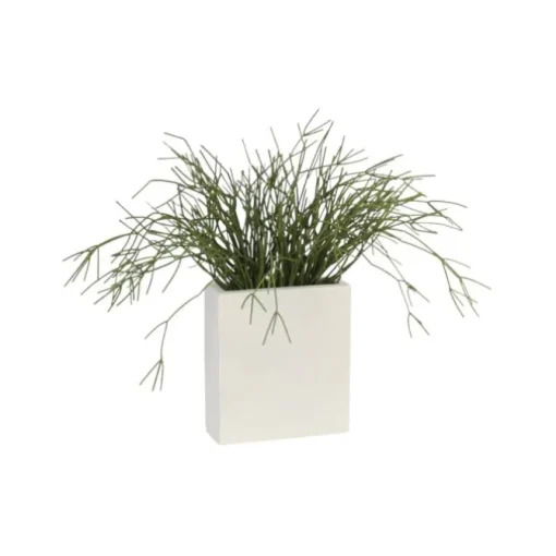 Pencil Cactus in White Metal Tall Planter