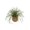 Pencil Cactus Plant Succulent in Gold Planter