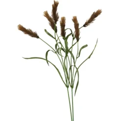 Pennisetum in Med Brown  (Set of 12)