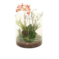 Phalaenopsis Orchid Garden in Round Glass Cylinder