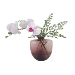 Phalaenopsis Orchid with Maden Hair in an Oregon Vase