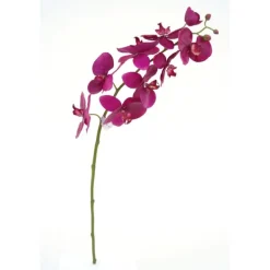 31" Phalaenopsis Stem in Violet  (Sold in Multiples of 6)