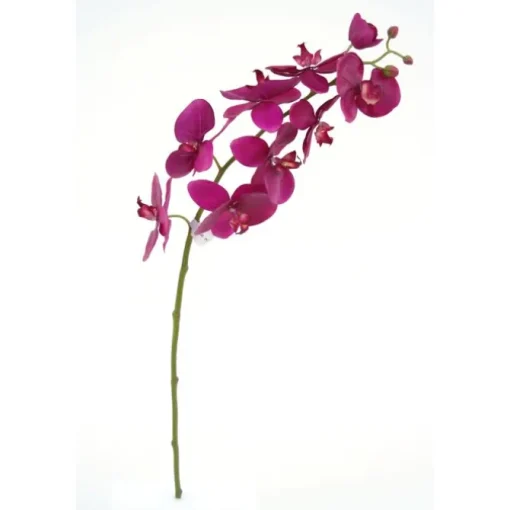 31" Phalaenopsis Stem in Violet  (Sold in Multiples of 6)