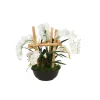 Phaleanopsis Orchids in Black Bowl