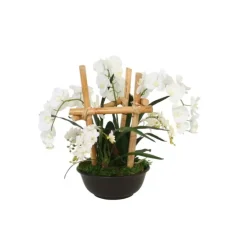 Phaleanopsis Orchids in Black Bowl