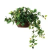 Philodendron Foliage in Oval Pencil Rattan Basket