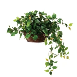 Philodendron Foliage in Oval Pencil Rattan Basket
