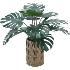 Philodendron in Bronze Zig Zag Vase
