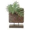 Philodendron in Starburst Standup Container