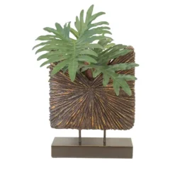 Philodendron in Starburst Standup Container