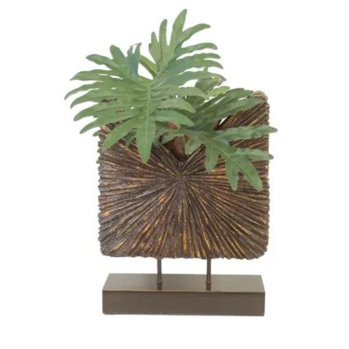 Philodendron in Starburst Standup Container
