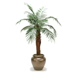 6' Phoenix Palm in Bronze Stone Water Jar
