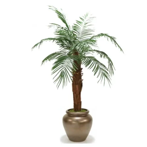 6' Phoenix Palm in Bronze Stone Water Jar