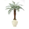 6' Phoenix Palm Tree in Shellish Sand Earthenware Planter