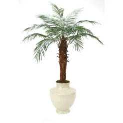 6' Phoenix Palm Tree in Shellish Sand Earthenware Planter