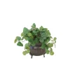 Pilea Greenery in Tri Footed Pot  (Packed  2)