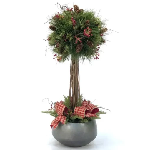 Pine Ball Topiary in Sosa Bowl