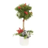 Pine Topiary with Accents of Red in White Planter