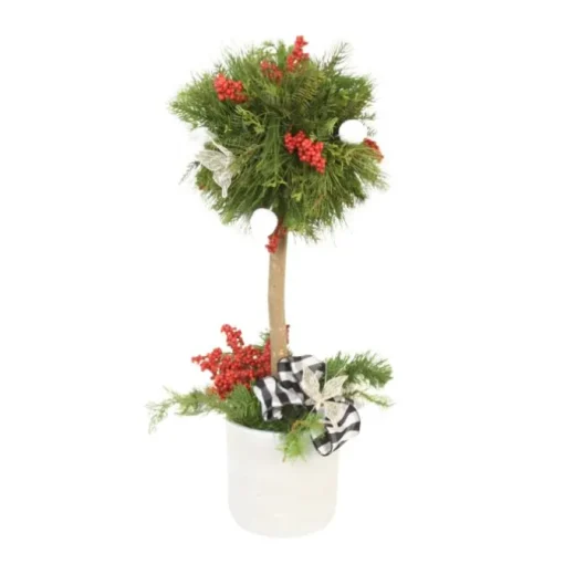 Pine Topiary with Accents of Red in White Planter