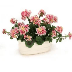Pink Geraniums in White Lions Head Planter