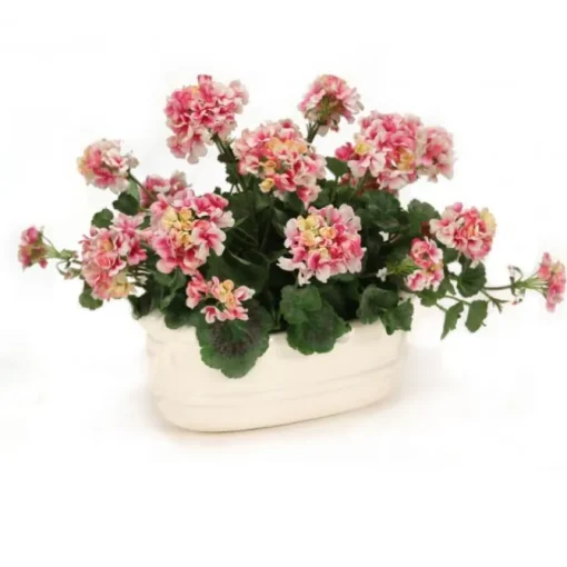 Pink Geraniums in White Lions Head Planter