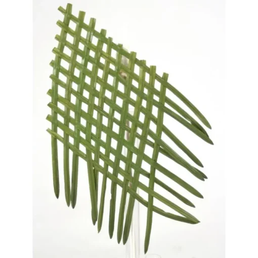 Plastic Grass Weaving Placemat