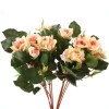 Pointed Rose Bush in Peach  (Sold in Multiples of 4)