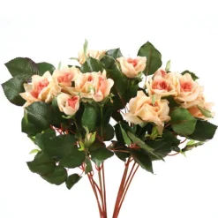 Pointed Rose Bush in Peach  (Sold in Multiples of 4)