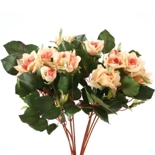 Pointed Rose Bush in Peach  (Sold in Multiples of 4)
