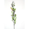 Pokeberry Spray with Black Berries and Cream Berries  (Sold in Multiples of 12)
